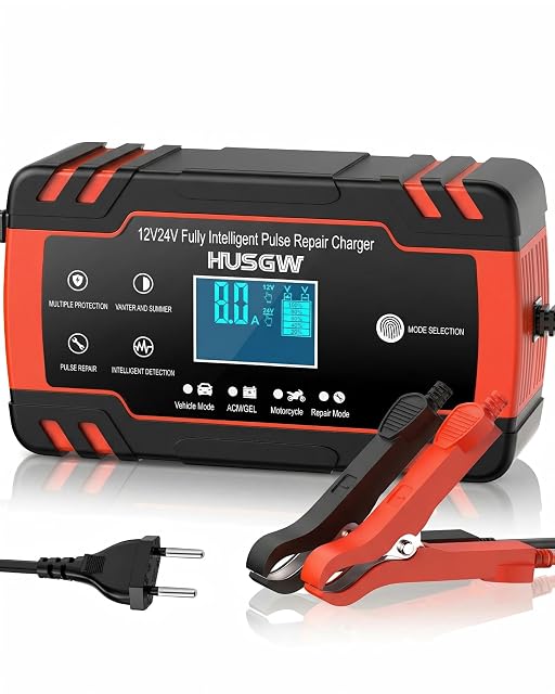 Cargador de batería de coche Husgw de 8 A para 12 V y 24 V